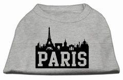 Paris Skyline Screen Print Shirt