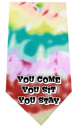 Screen Print Bandana Tie Dye