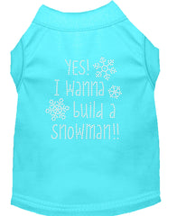 Yes! I Want To Build A Snowman Rhinestone Dog Shirt