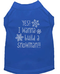 Yes! I Want To Build A Snowman Rhinestone Dog Shirt