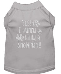 Yes! I Want To Build A Snowman Rhinestone Dog Shirt