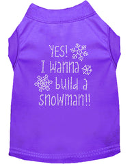 Yes! I Want To Build A Snowman Rhinestone Dog Shirt