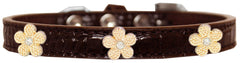 Gold Flower Widget Croc Dog Collar Size