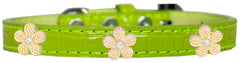 Gold Flower Widget Croc Dog Collar Size