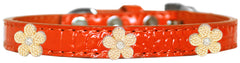 Gold Flower Widget Croc Dog Collar Size