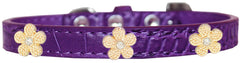 Gold Flower Widget Croc Dog Collar Size