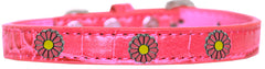 Pink Daisy Widget Croc Dog Collar Size