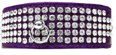 Mirage 5 Row Rhinestone Designer Croc Dog Collar