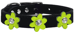 Metallic Flower Leather Collar Black With Metallic Flowers Size