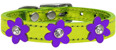 Metallic Flower Leather Collar Metallic Lime Green With Metallic Flowers Size