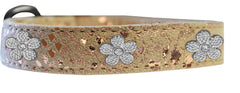 Silver Flower Widget Dragon Skin Genuine Leather Dog Collar Silver Size