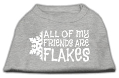 All my friends are Flakes Screen Print Shirt Grey XXXL(20)