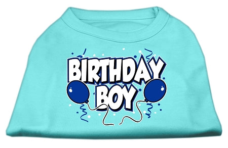 Birthday Boy Screen Print Shirts Aqua XXXL